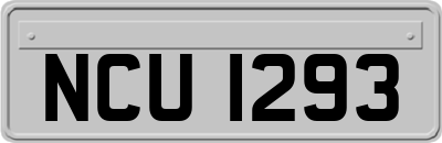 NCU1293