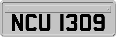 NCU1309