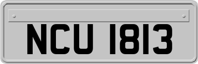 NCU1813