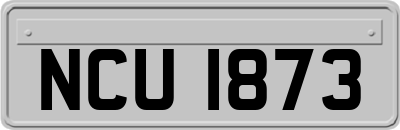 NCU1873