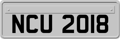NCU2018