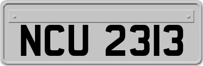 NCU2313