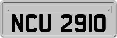 NCU2910