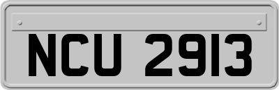 NCU2913