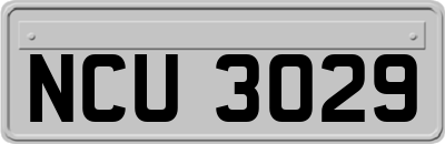 NCU3029