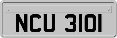 NCU3101