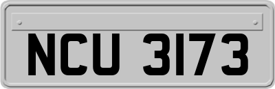 NCU3173