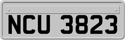 NCU3823