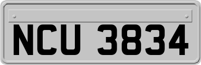 NCU3834