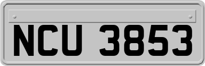 NCU3853