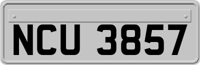 NCU3857