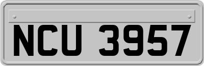 NCU3957