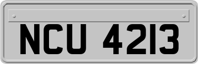 NCU4213