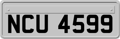 NCU4599