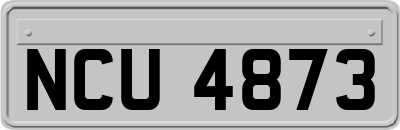 NCU4873