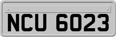 NCU6023