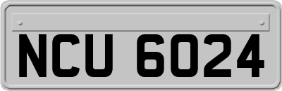 NCU6024