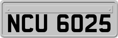 NCU6025