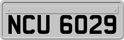 NCU6029