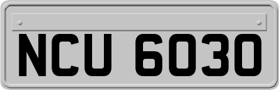 NCU6030