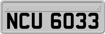 NCU6033