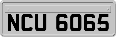 NCU6065