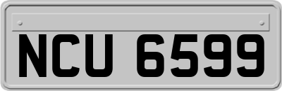 NCU6599