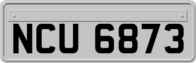 NCU6873