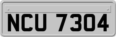 NCU7304