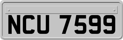 NCU7599