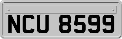 NCU8599