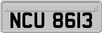 NCU8613