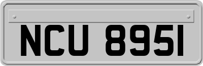 NCU8951