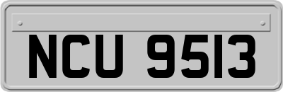 NCU9513