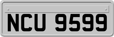 NCU9599