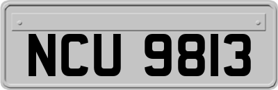 NCU9813