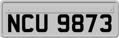 NCU9873