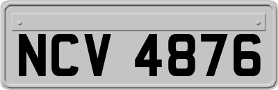 NCV4876