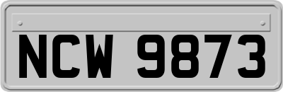 NCW9873
