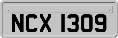NCX1309