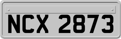 NCX2873