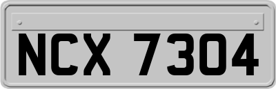 NCX7304