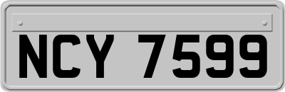 NCY7599