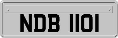 NDB1101