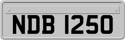 NDB1250