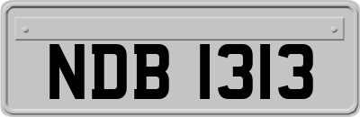 NDB1313