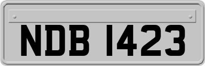NDB1423