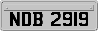 NDB2919