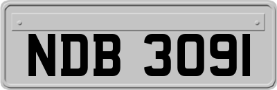 NDB3091