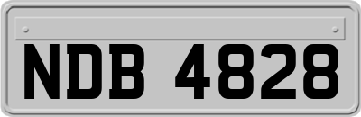 NDB4828